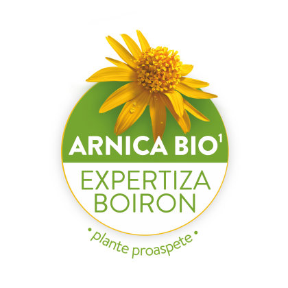 Arnica