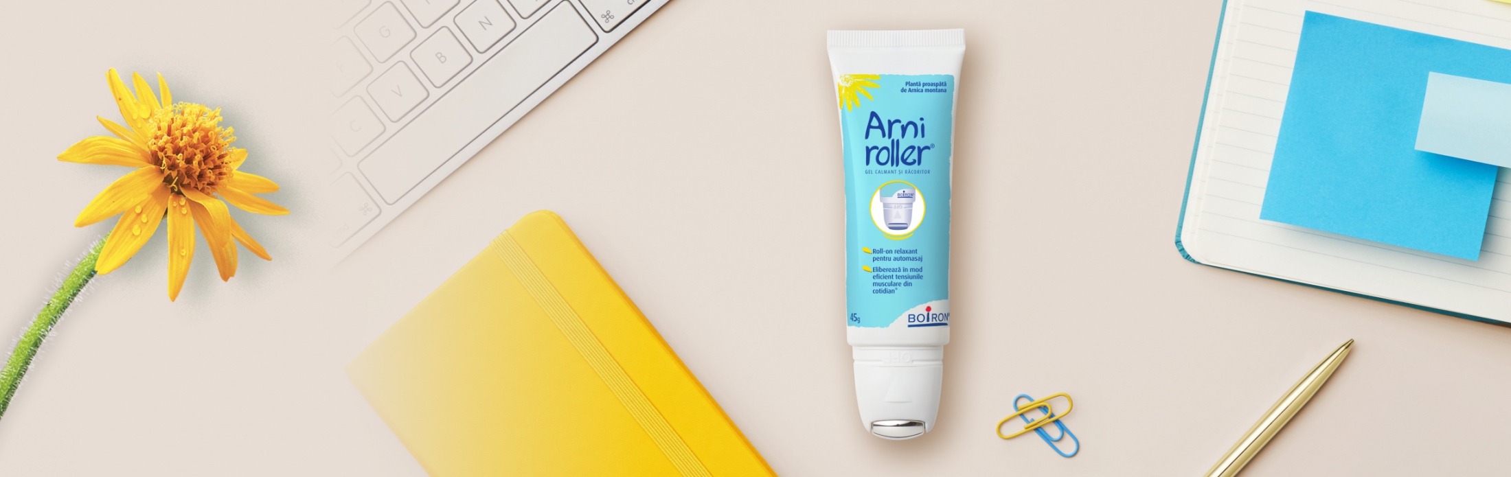Arniroller