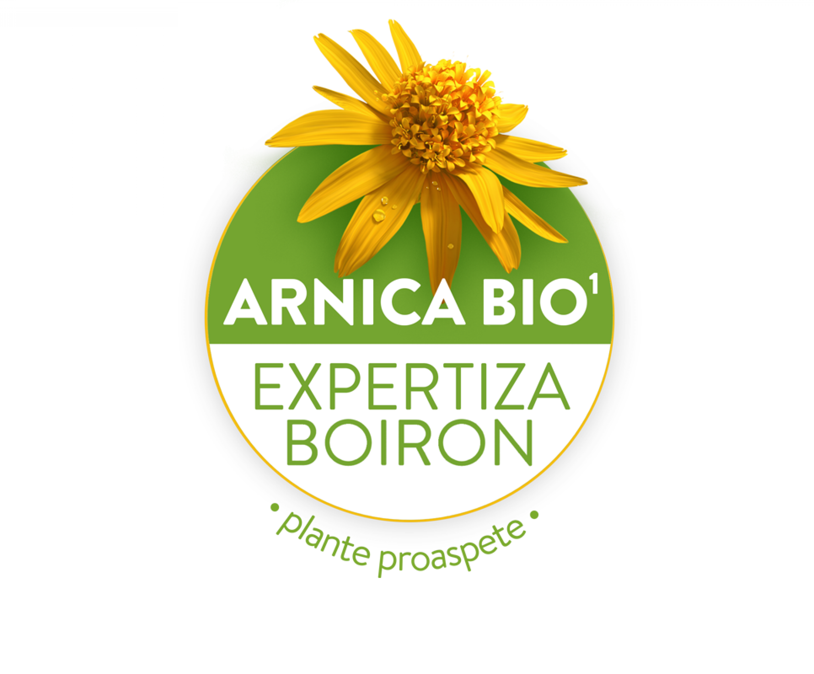 Arnica Bio