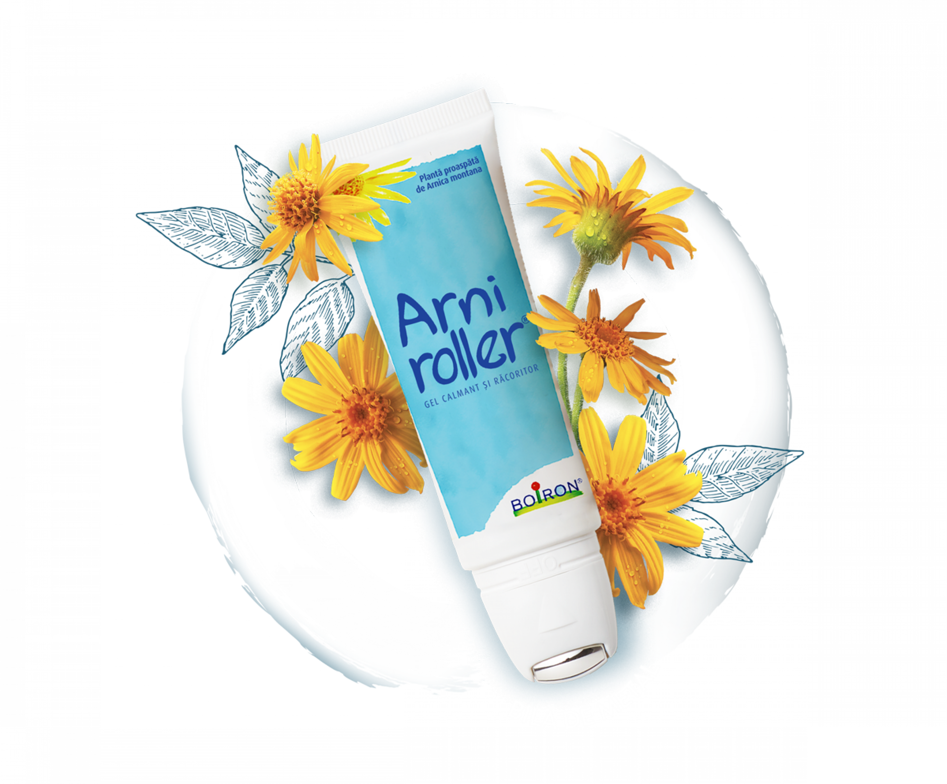 Arniroller